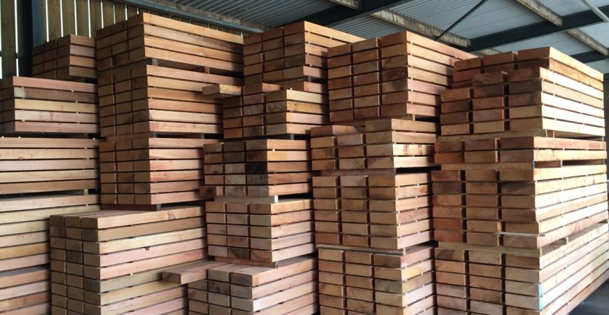 Western Red Cedar