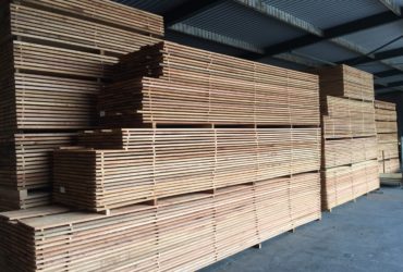 Western Red Cedar