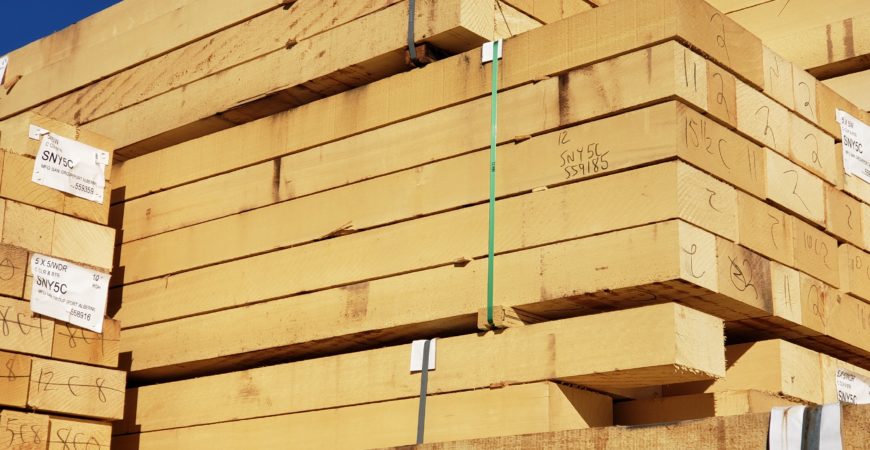 Yellow Cedar