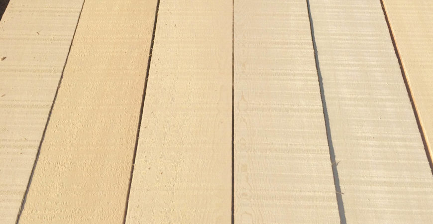 Yellow Cedar