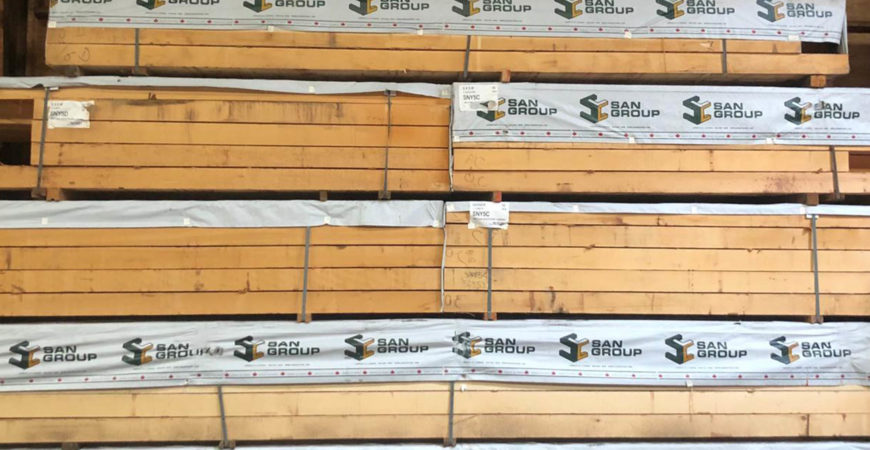 Yellow Cedar